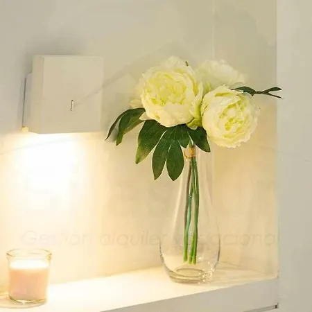 Terraza De Corrida Gijón